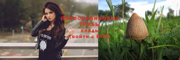 бошки Арсеньев