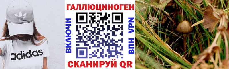 Галлюциногенные грибы ЛСД  купить   гидра   Мончегорск 