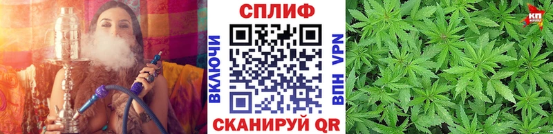 цена наркотик  Мончегорск  Бошки марихуана план 